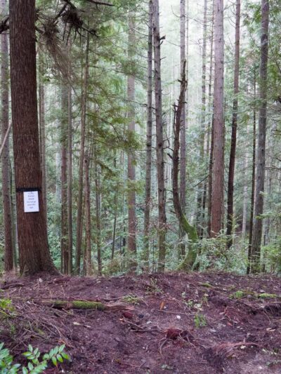 Trustland Trails - South Whidbey Parks & Recreation District - Langley, WA