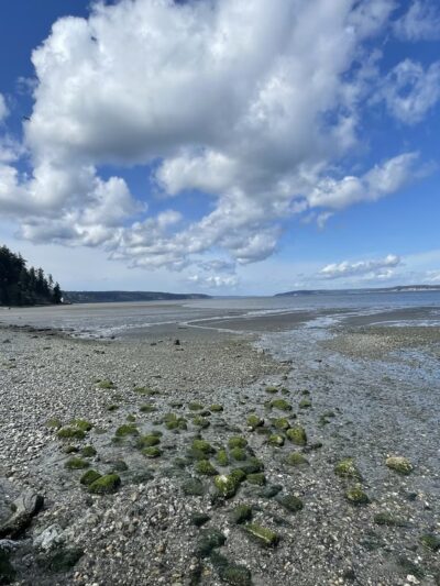 Seawall Park - Langley, WA