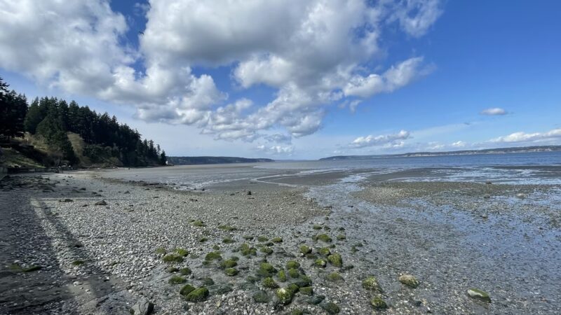 Seawall Park - Langley, WA