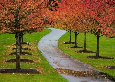 South Whidbey Community Park - Langley, WA