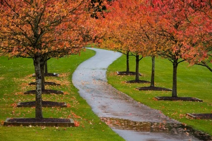 South Whidbey Community Park - Langley, WA