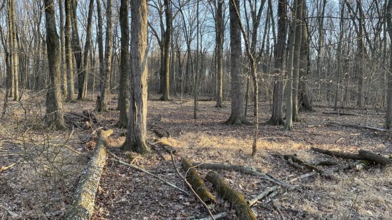 Knapp Park Parking - Lansdale, PA