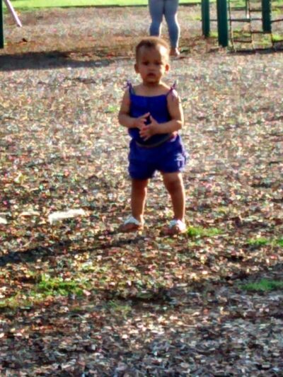 Hays Park - Lansdowne, PA