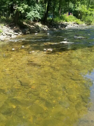 Hoffman Park - Lansdowne, PA