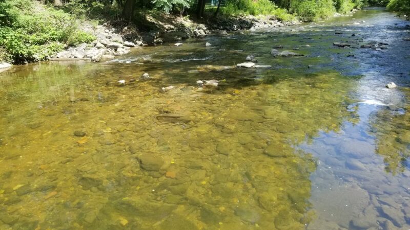 Hoffman Park - Lansdowne, PA