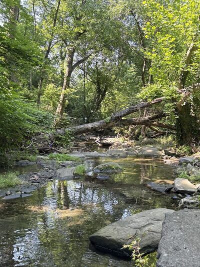 Marlyn Park - Lansdowne, PA