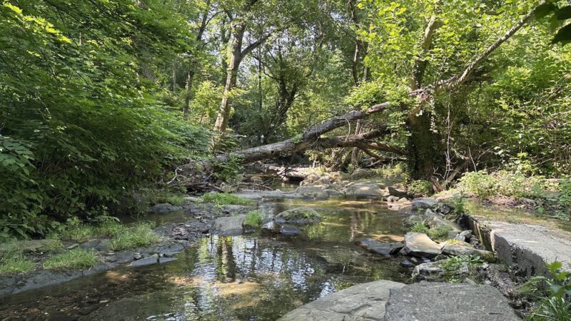 Marlyn Park - Lansdowne, PA