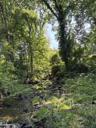 Marlyn Park - Lansdowne, PA