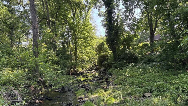 Marlyn Park - Lansdowne, PA