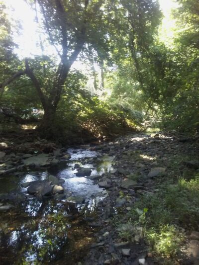 Reservoir Park - Lansdowne, PA