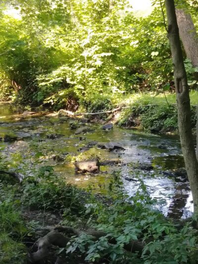 Reservoir Park - Lansdowne, PA