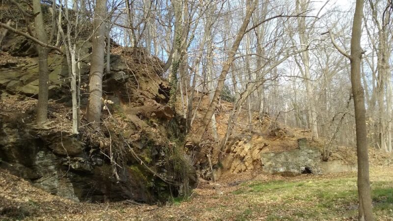 Shrigley Woods Park - Lansdowne, PA