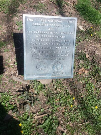 Sycamore Park - Lansdowne, PA