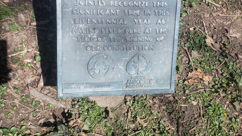 Sycamore Park - Lansdowne, PA