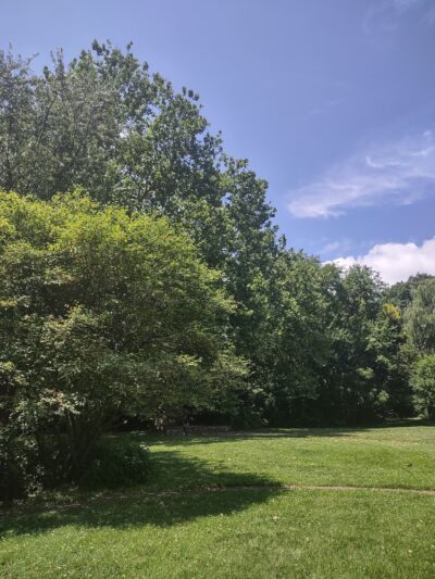 Sycamore Park - Lansdowne, PA