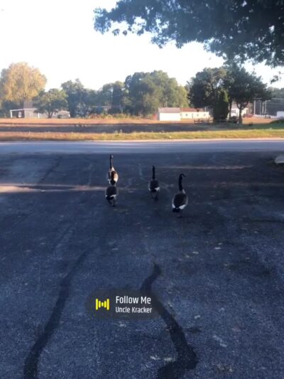 Van Laten Park - Lansing, IL