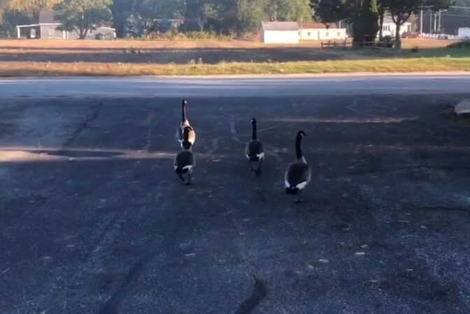 Van Laten Park - Lansing, IL