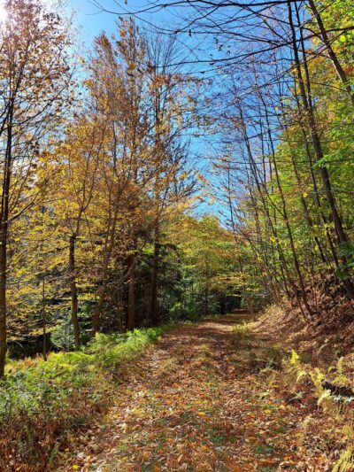 Mokoma Conservancy - Laporte, PA