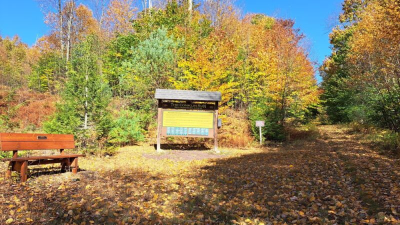 Mokoma Conservancy - Laporte, PA