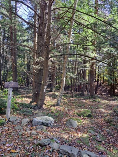 Mokoma Conservancy - Laporte, PA