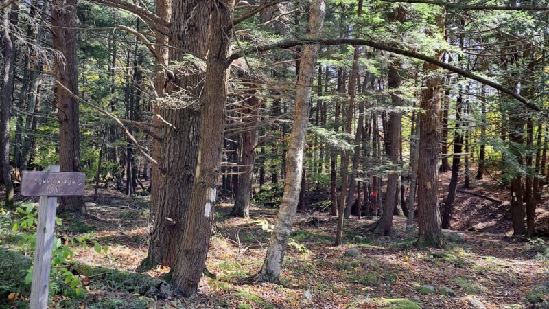 Mokoma Conservancy - Laporte, PA