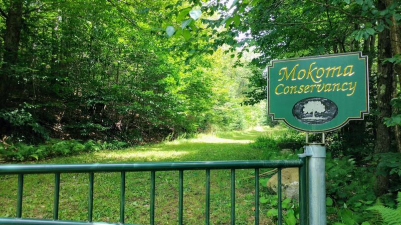 Mokoma Conservancy - Laporte, PA