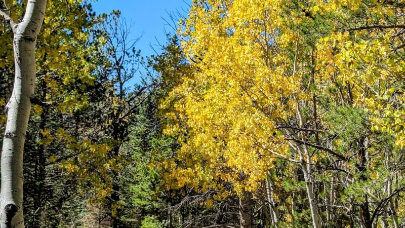 Tie City Trailhead - Laramie, WY