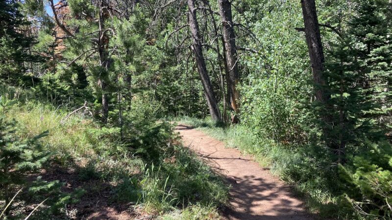 Tie City Trailhead - Laramie, WY