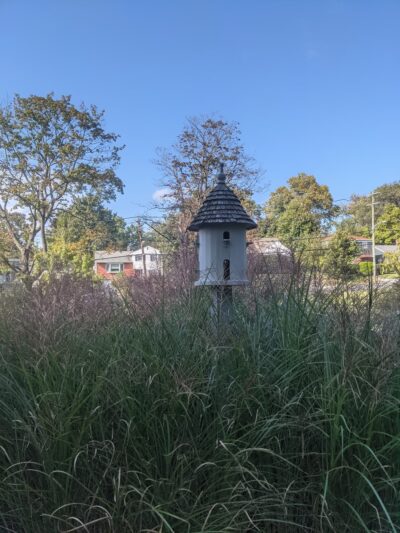 Kane Park - Larchmont, NY