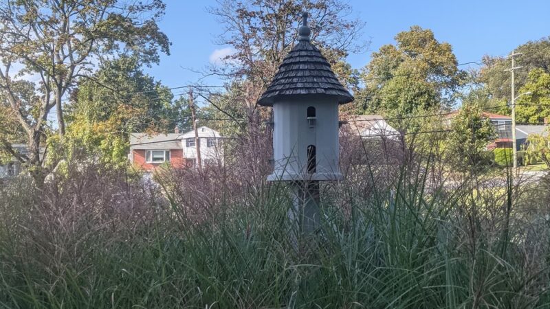Kane Park - Larchmont, NY
