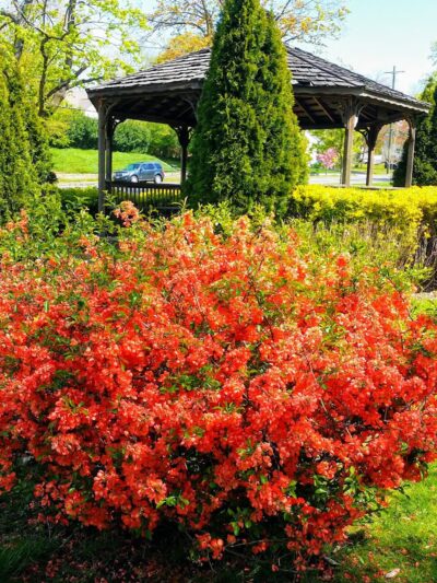 Kane Park - Larchmont, NY