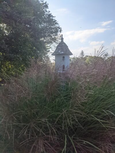 Kane Park - Larchmont, NY