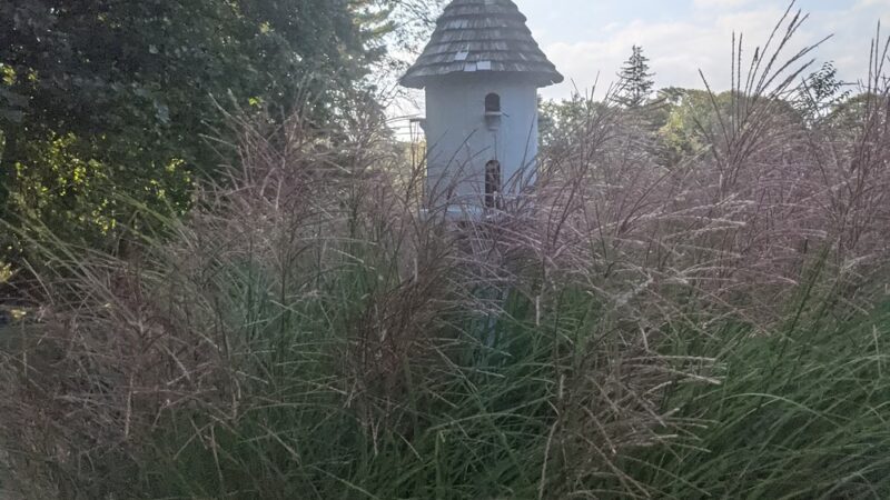 Kane Park - Larchmont, NY