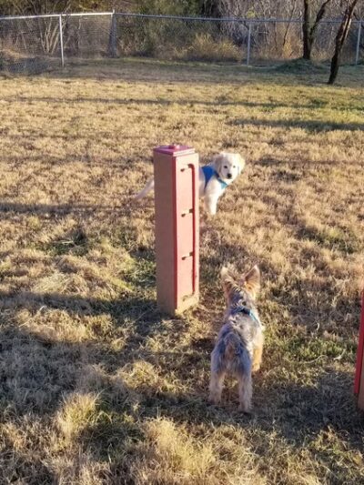 Duko's Dog Park - Laredo, TX