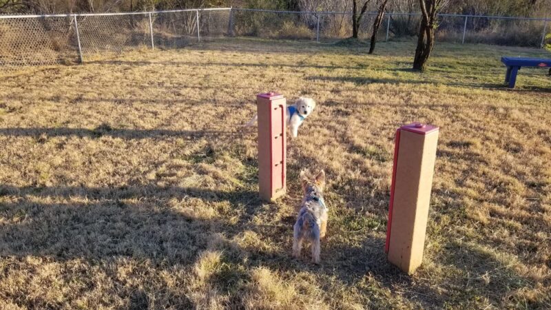 Duko's Dog Park - Laredo, TX