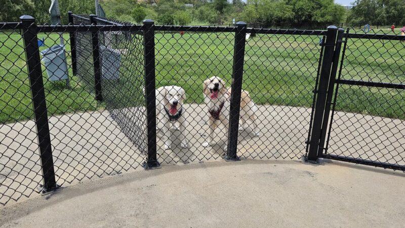 K-9 Marimar Dog Park - Laredo, TX