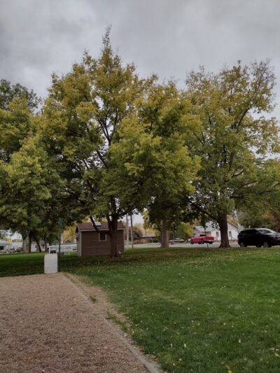 LaSalle City Park - LaSalle, CO