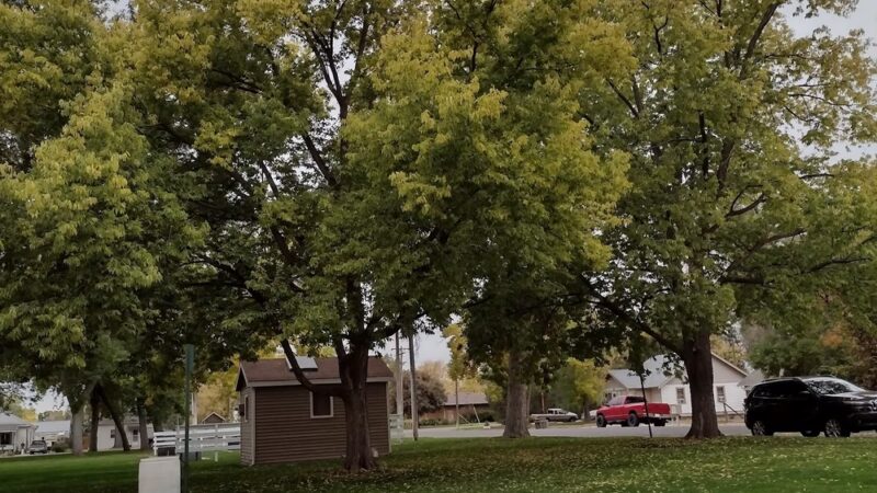 LaSalle City Park - LaSalle, CO
