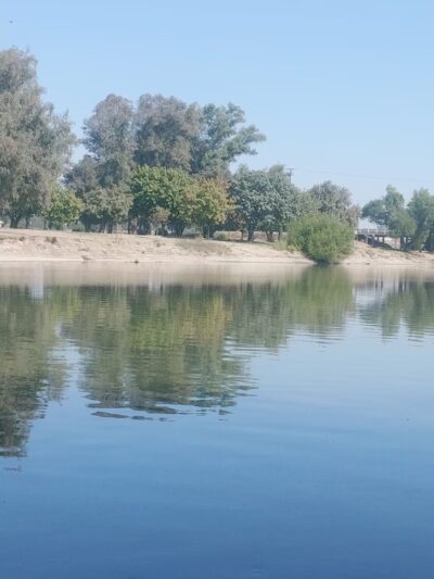 Laton-Kingston Park - Laton, CA