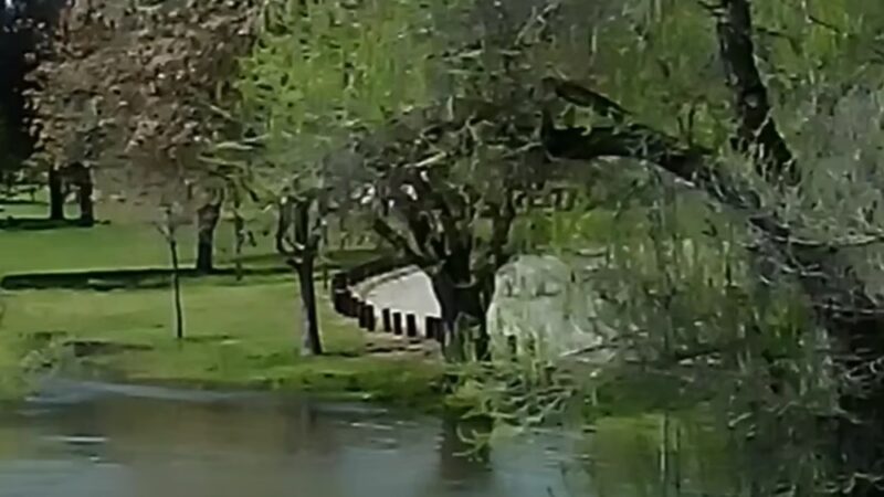 Laton-Kingston Park - Laton, CA