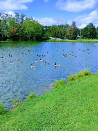 Bob Evancho Lakeside Park - Latrobe, PA