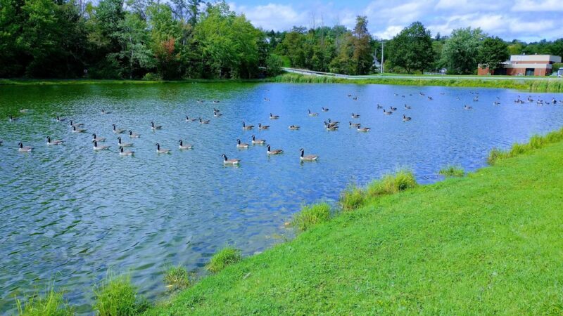 Bob Evancho Lakeside Park - Latrobe, PA
