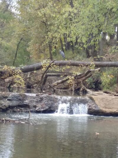 Creekside Park Walking Trail - Latrobe, PA