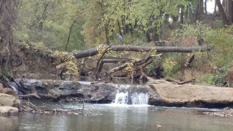 Creekside Park Walking Trail - Latrobe, PA