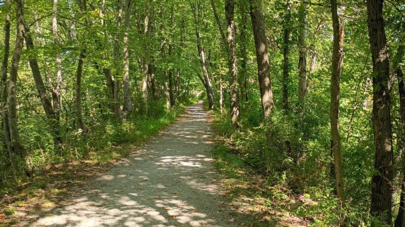 Creekside Park Walking Trail - Latrobe, PA