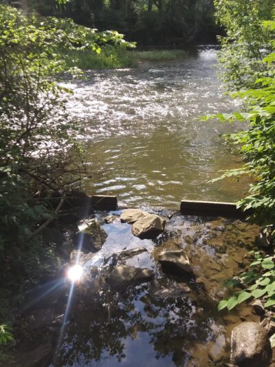 Creekside Park Walking Trail - Latrobe, PA