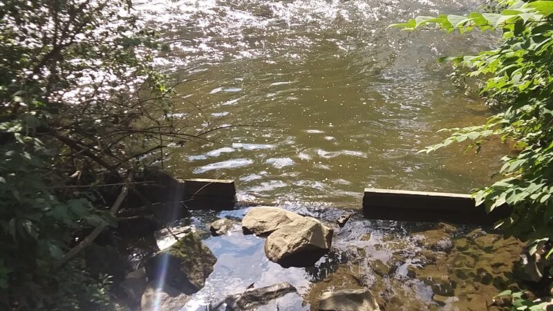 Creekside Park Walking Trail - Latrobe, PA