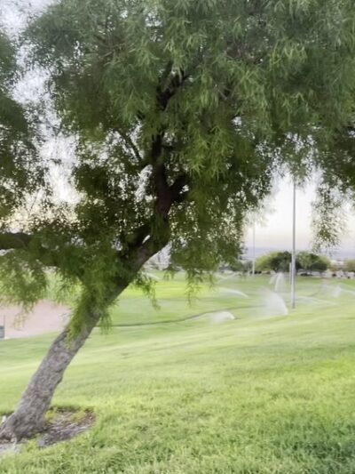 Laughlin Dog Park - Laughlin, NV