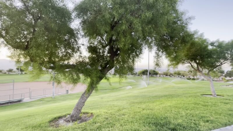 Laughlin Dog Park - Laughlin, NV