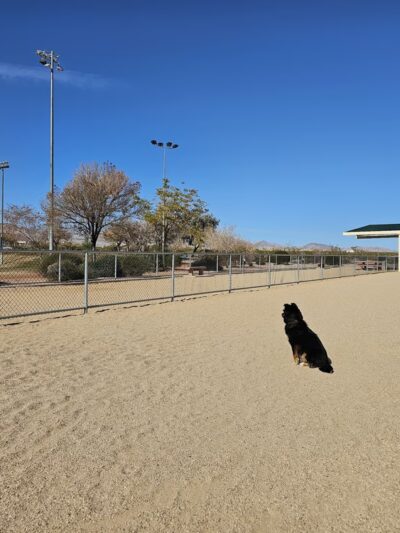 Laughlin Dog Park - Laughlin, NV